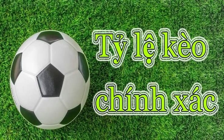 Tìm Hiểu Thông Tin Soi Kèo